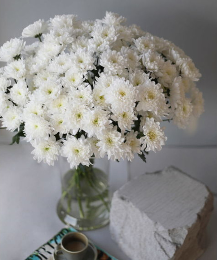 Хризантема кустовая крашеная светло-жёлтая и кремовая, поштучно