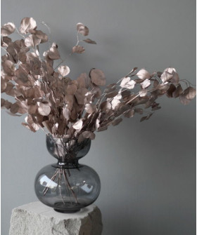 Крашеный эвкалипт Цинерия