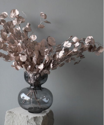 Крашеный эвкалипт Цинерия