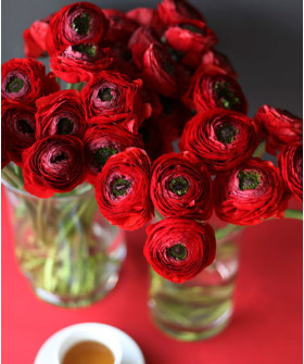 Ранункулюсы красные и терракотовые