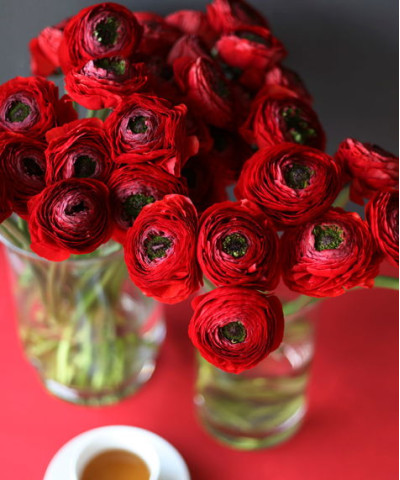 Ранункулюсы красные и терракотовые