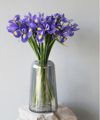 Ирисы фиолетовые