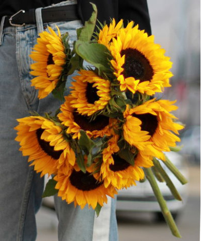 Гелиантусы подсолнухи, поштучно