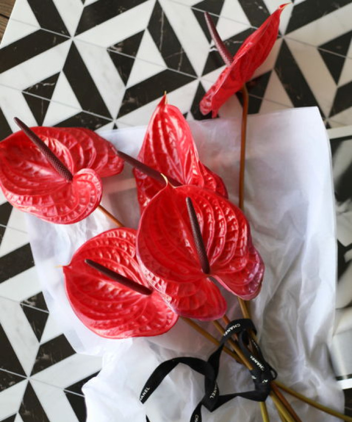 Антуриум, в ассортименте, поштучно