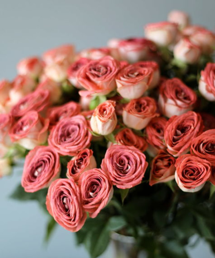 Медиа кустовая роза, поштучно 