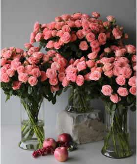 Бол Музетт кустовая розовая роза