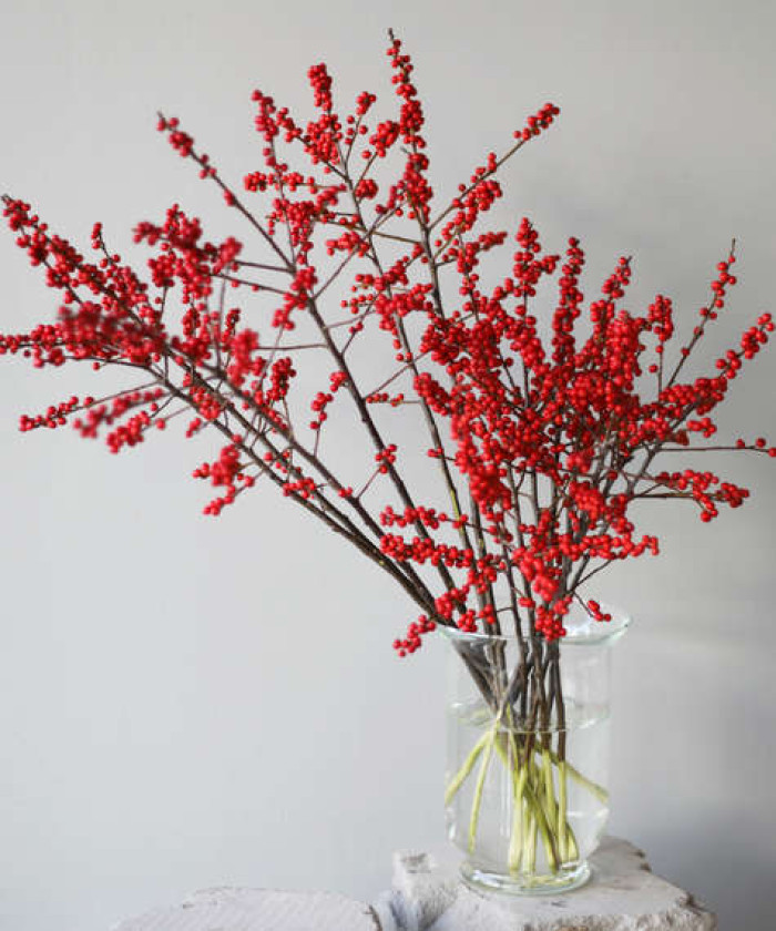 Илекс, поштучно