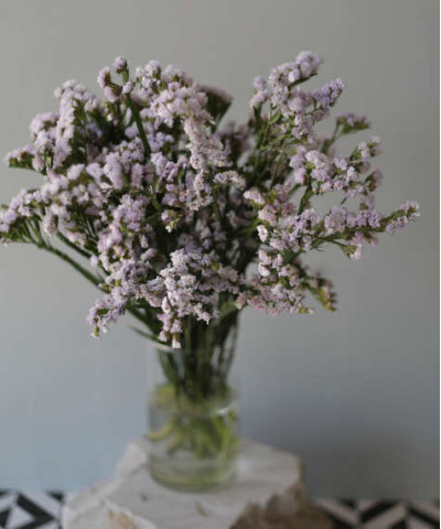 Статица сиреневая