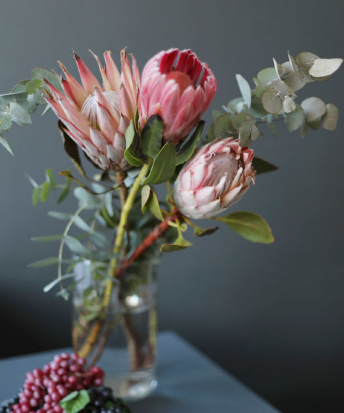 Протея Венус, поштучно