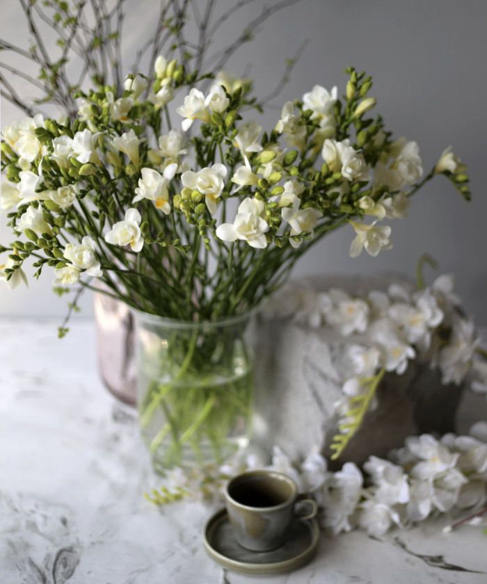 Фрезия белая, поштучно 