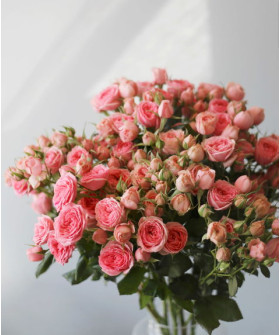 Свит Деменшн кустовая розовая роза