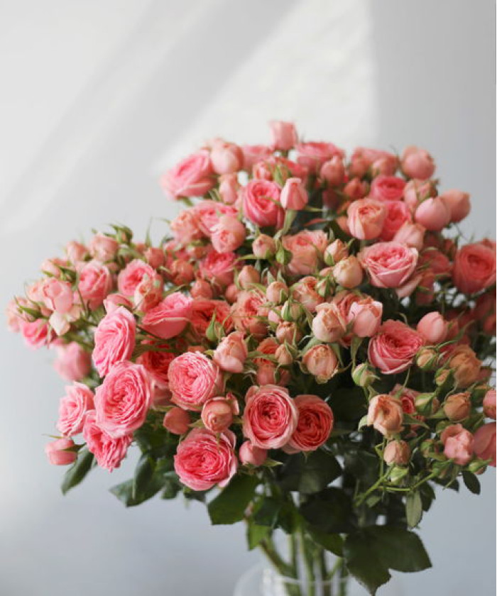 Свит Деменшн кустовая розовая роза, поштучно