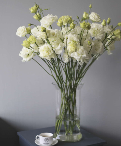 Эустома белая Голландия, поштучно