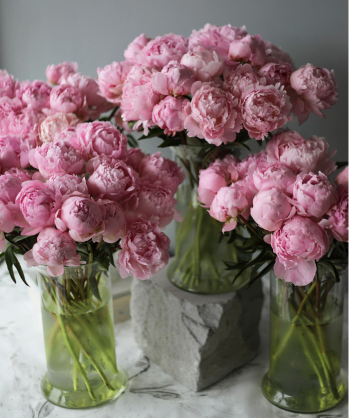 Пионы, в ассортименте, поштучно