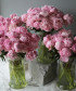 55 розовых Пионов Пиллоу Ток №9678