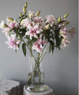 Королевская махровая лилия розовая