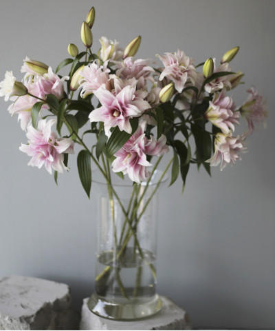 Королевская махровая лилия розовая