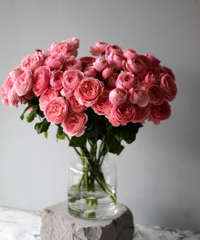 Сильва Пинк кустовая розовая роза, поштучно