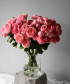 Сильва Пинк кустовая розовая роза, поштучно