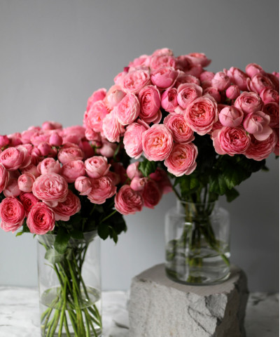 Сильва Пинк кустовая розовая роза