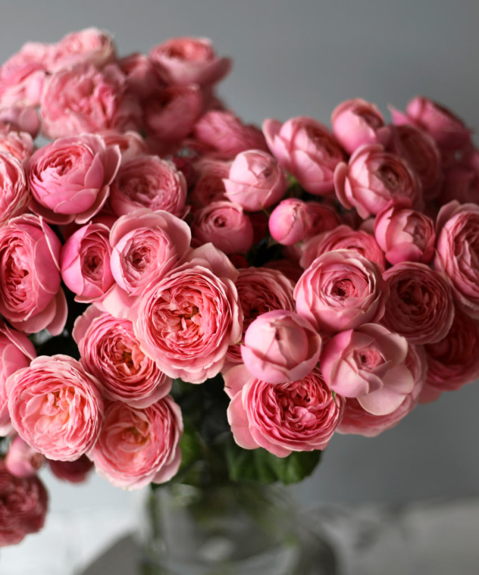 Сильва Пинк кустовая розовая роза, поштучно