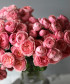 Сильва Пинк кустовая розовая роза, поштучно