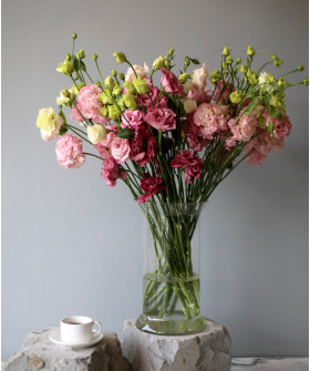 Эустома розовая, поштучно