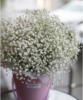 Гипсофила белая, поштучно