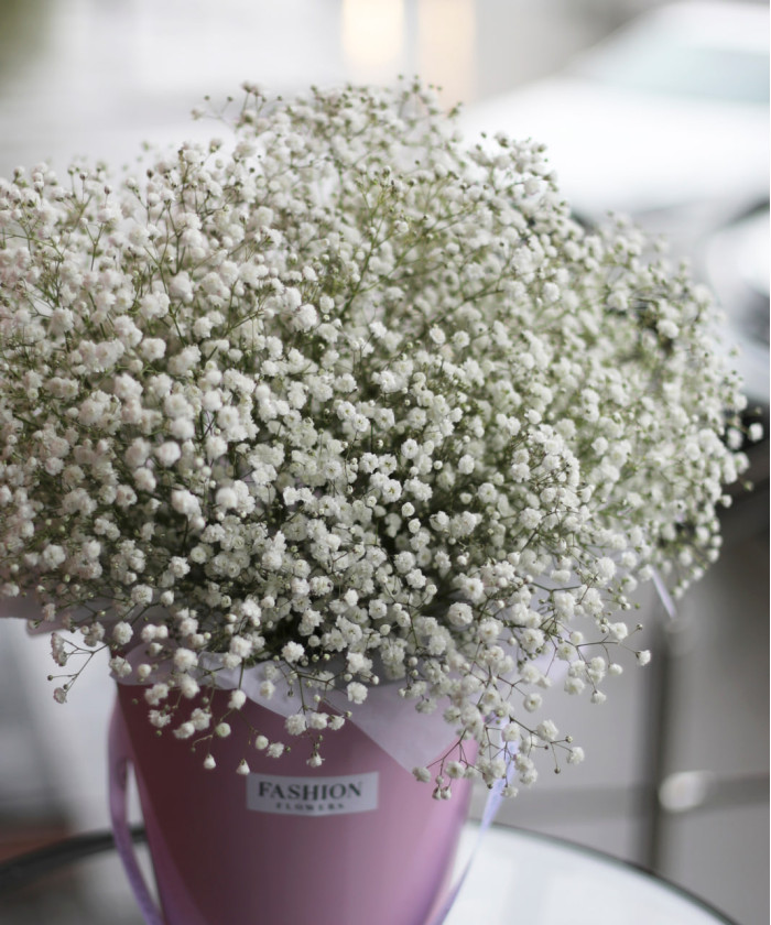 Гипсофила белая, поштучно