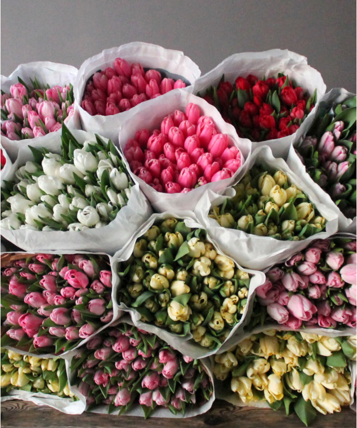 Тюльпаны Extra, в ассортименте, поштучно 
