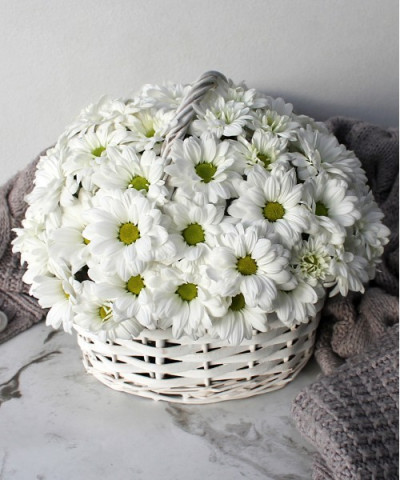 Ромашковая хризантема в корзине "Кристи" №50191