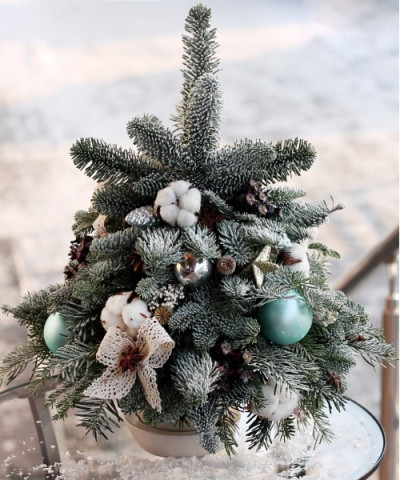 Заснеженная Ель «Тиффани» 