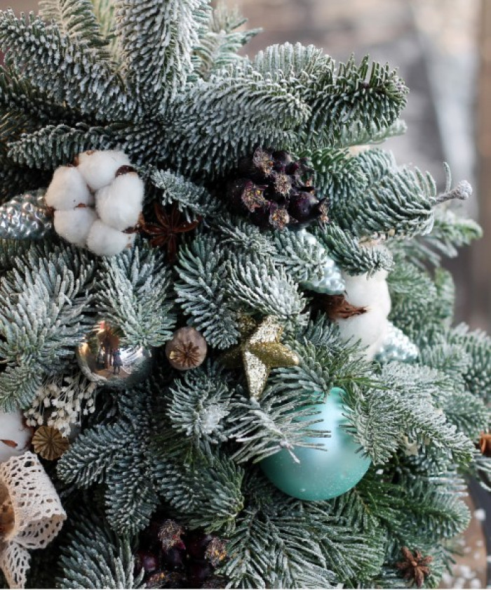 Заснеженная Ель «Тиффани» 