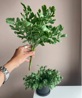 Зелень силикон куст. петрушка, 30см