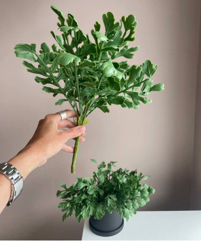 Зелень силикон куст. петрушка, 30см