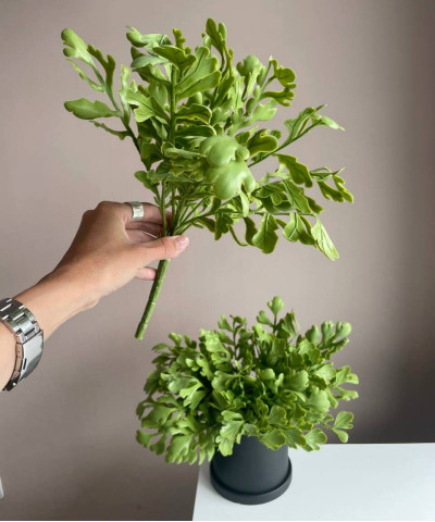 Зелень силикон куст. петрушка светло-зелёная, 30см