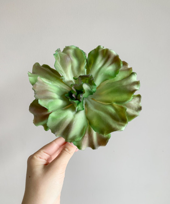 Суккулент капуста силикон d13см