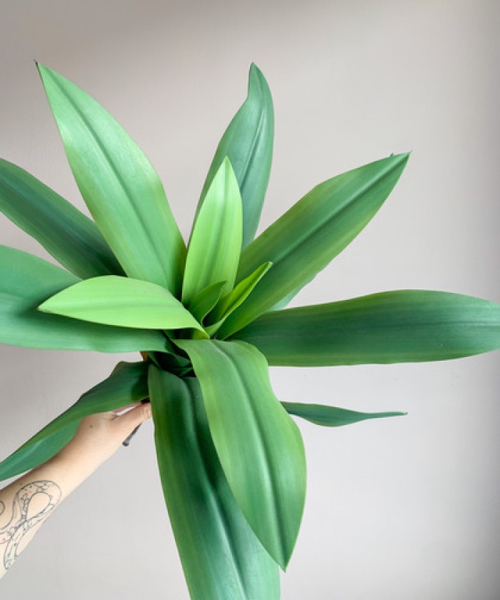 Юкка, листья 50см