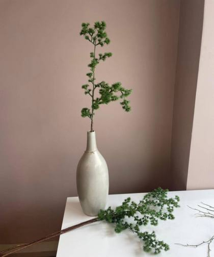 Ветка лиственница/аспарагус