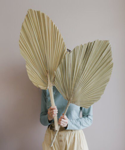 Лист Пальмы, сухоцвет h-60см