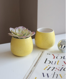 Кашпо Dino 8 см