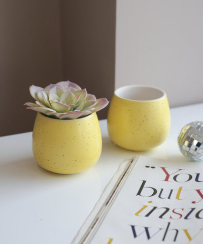 Кашпо Dino 8 см