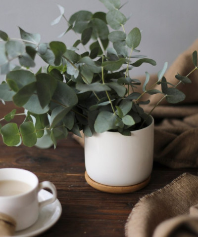 Кашпо "Эко", 10см