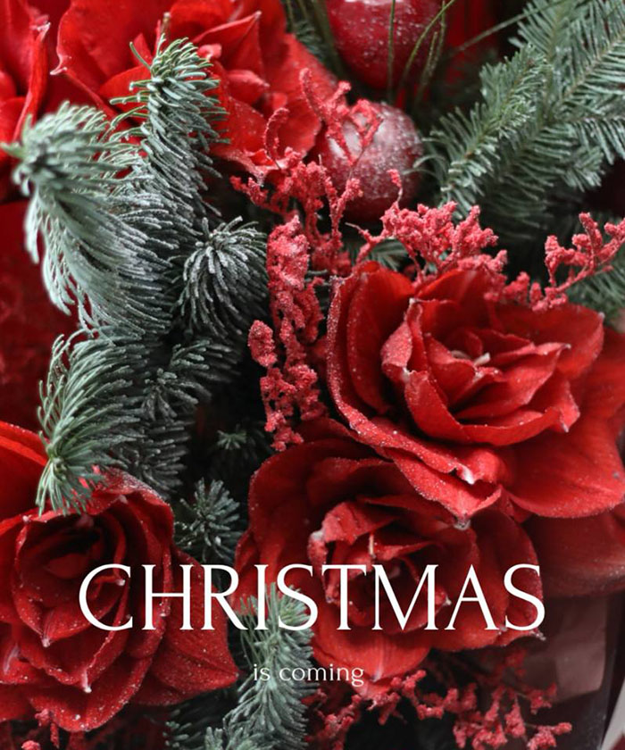 Авторский зимний букет с красными амариллисами Дабл Кинг №7450