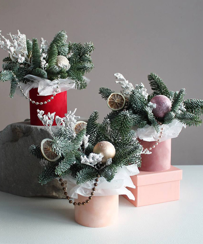 Бархатная поздравительная 