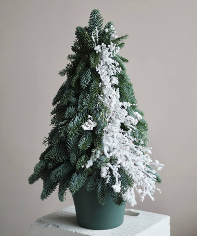 Ель ручной работы из нобилиса и заснеженных ветвей «Зимний сон» №9683