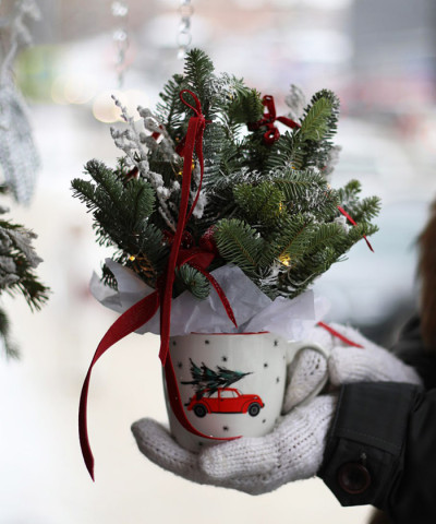 Новогодняя композиция из хвои в кружке №3278 