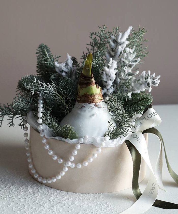 Зимняя композиция с Амариллисом в хвое 