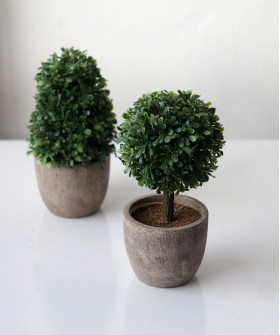Топиарий в кашпо малый в ассортименте 7х14см