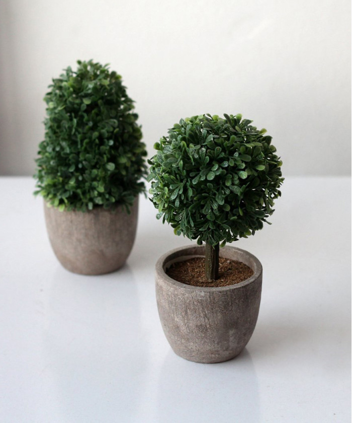 Топиарий в кашпо малый в ассортименте 7х14см